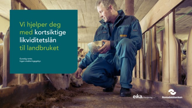 Annonsebilde